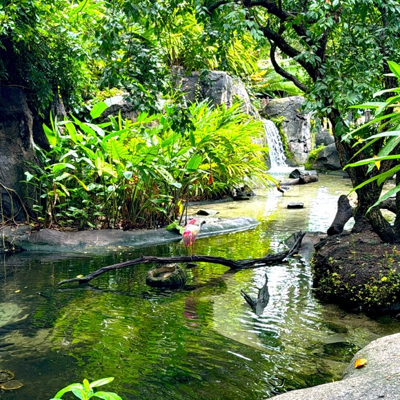 Shipping Label - Picture 1 of 1